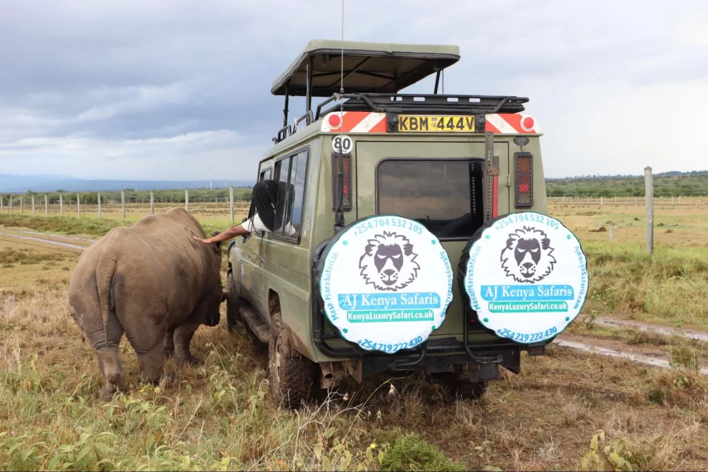 Aj Kenya Safaris.com Land Cruiser during Safari in Masai Mara Kenya.