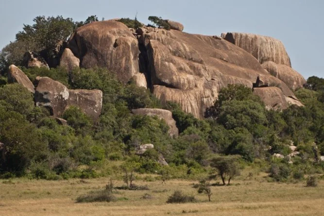 Best attractions in Serengeti - Moru Kopjes