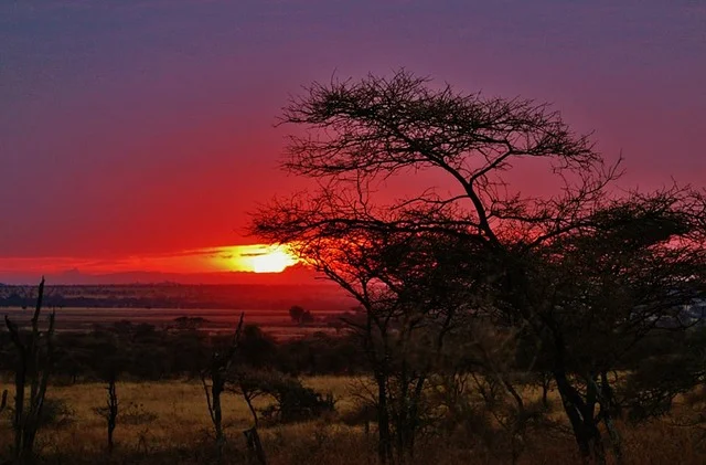 Main Regions of Serengeti National Park