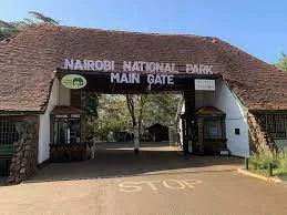 Kenya’s First National Park, Nairobi National Park