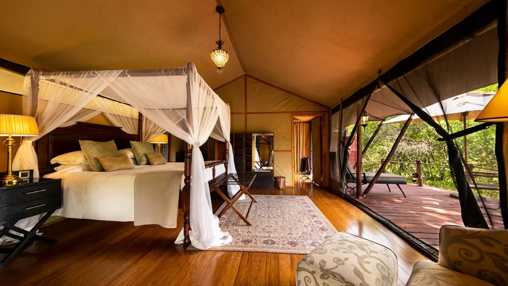 Luxury stay at Sand River Camp