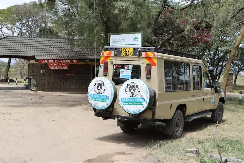 Best Tour Operators for Masai Mara Tours