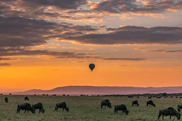 Best National Parks in Africa - the diverse Serengeti Africa
