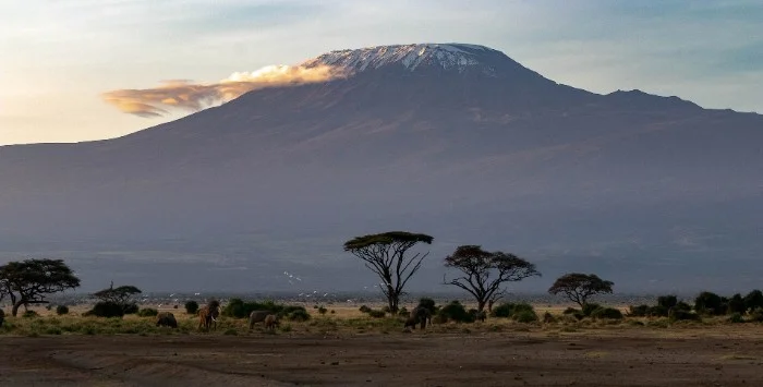 Booking Your Amboseli Nairobi tour