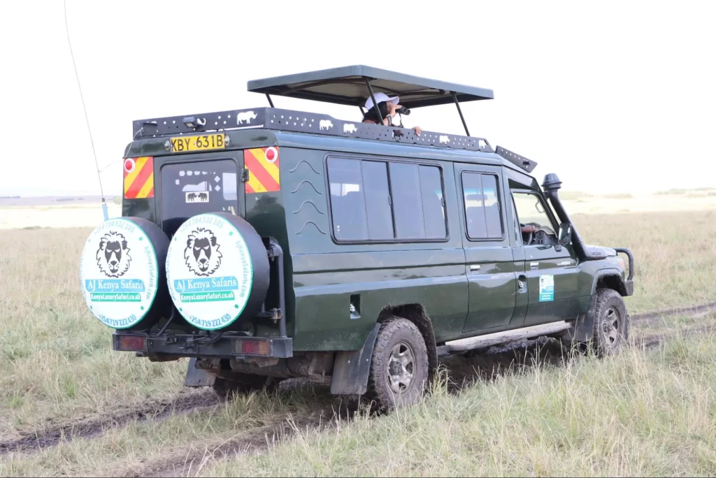 6 days kenya safari with ajkenyasafaris.com