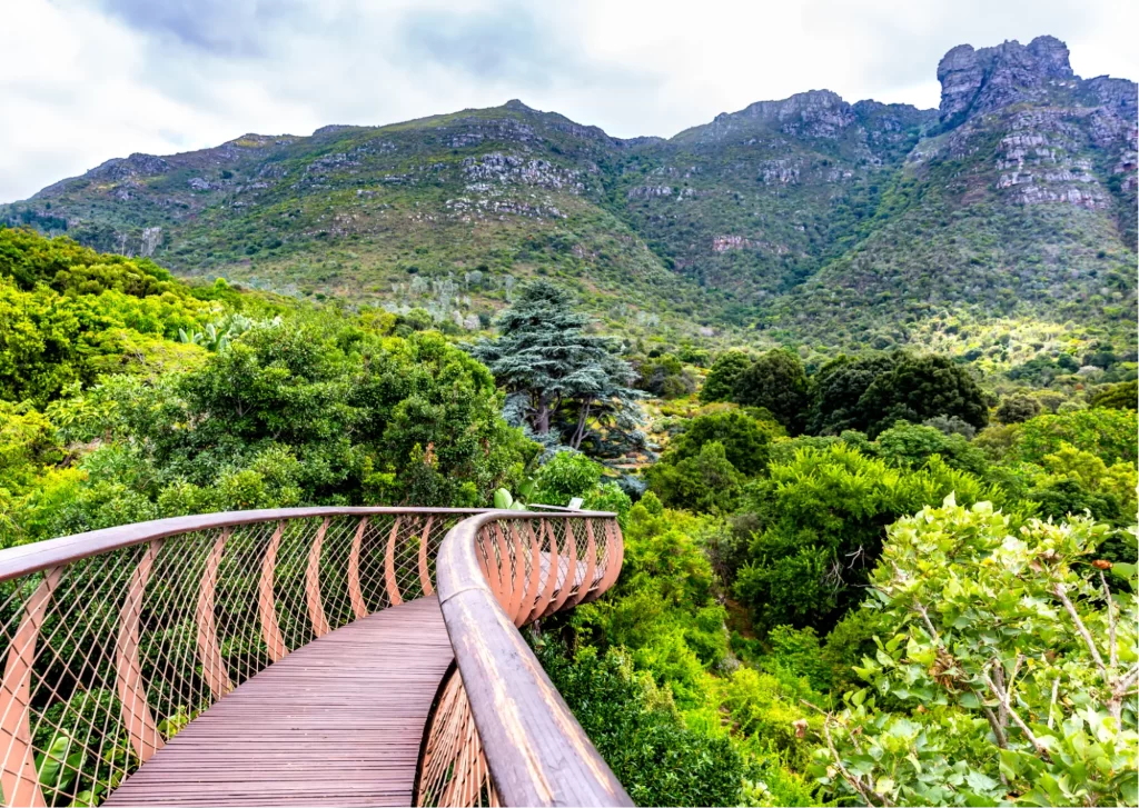 Beautiful places to visit in Cape Town, South Africa