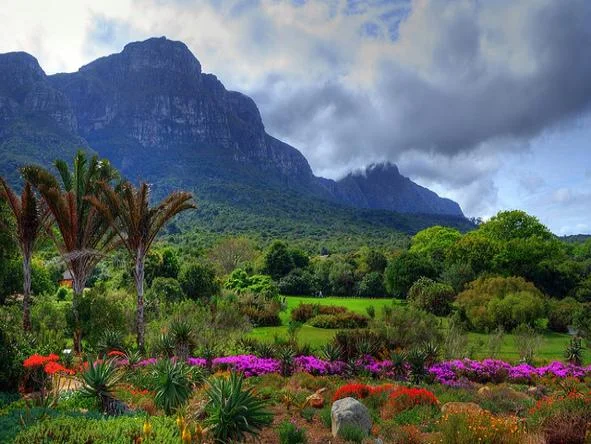 Top places to visit in Cape Town - Kirstenbosch Botanical Garden