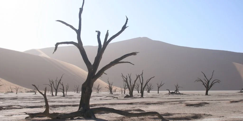 Top attractions of Namib-Naukluft National Park