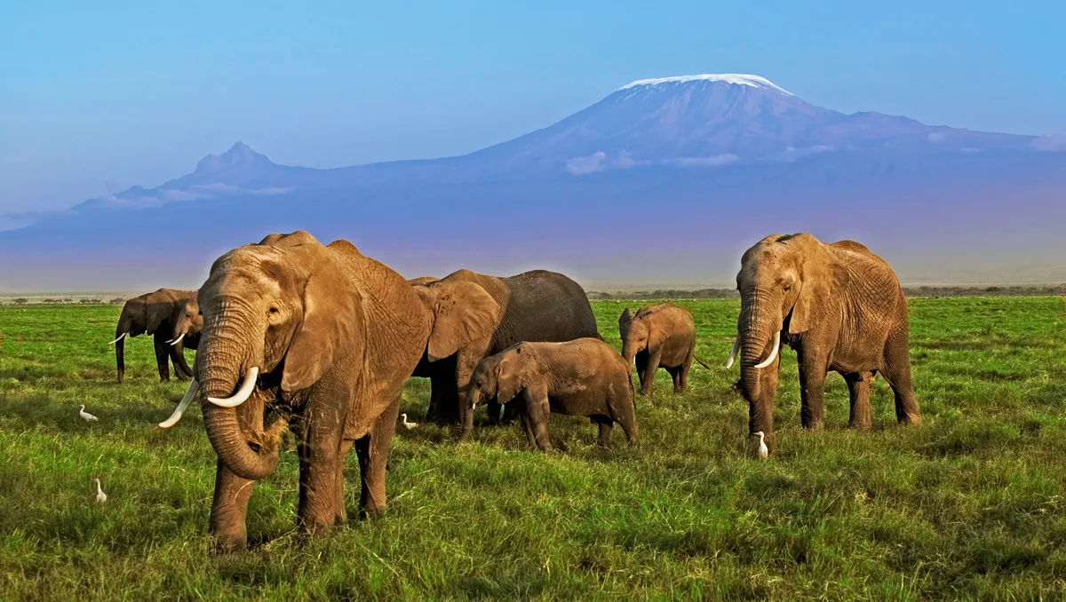 kenya safari tours cost
