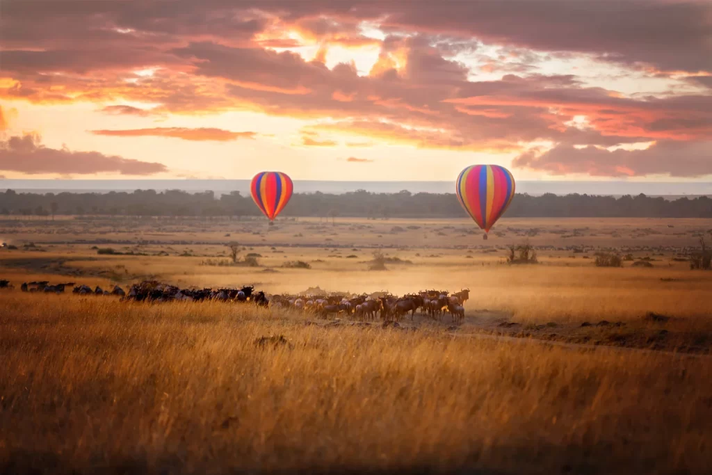 Nairobi to Masai Mara packages - Game Drives in Masai Mara and hot air balloon safari