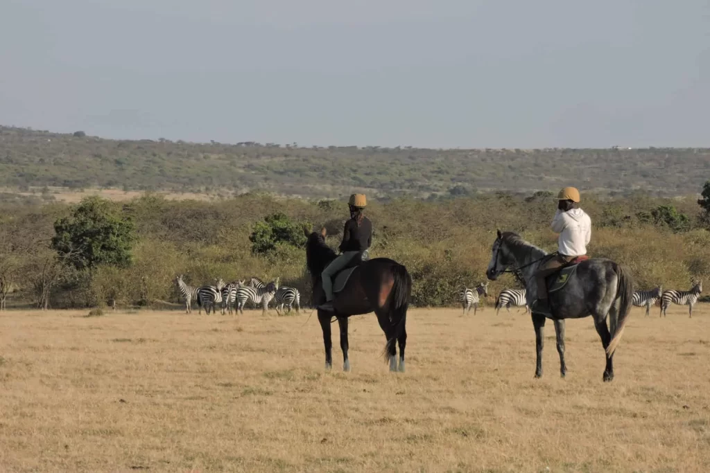 masai mara safari from nairobi - Masai Mara horse safaris