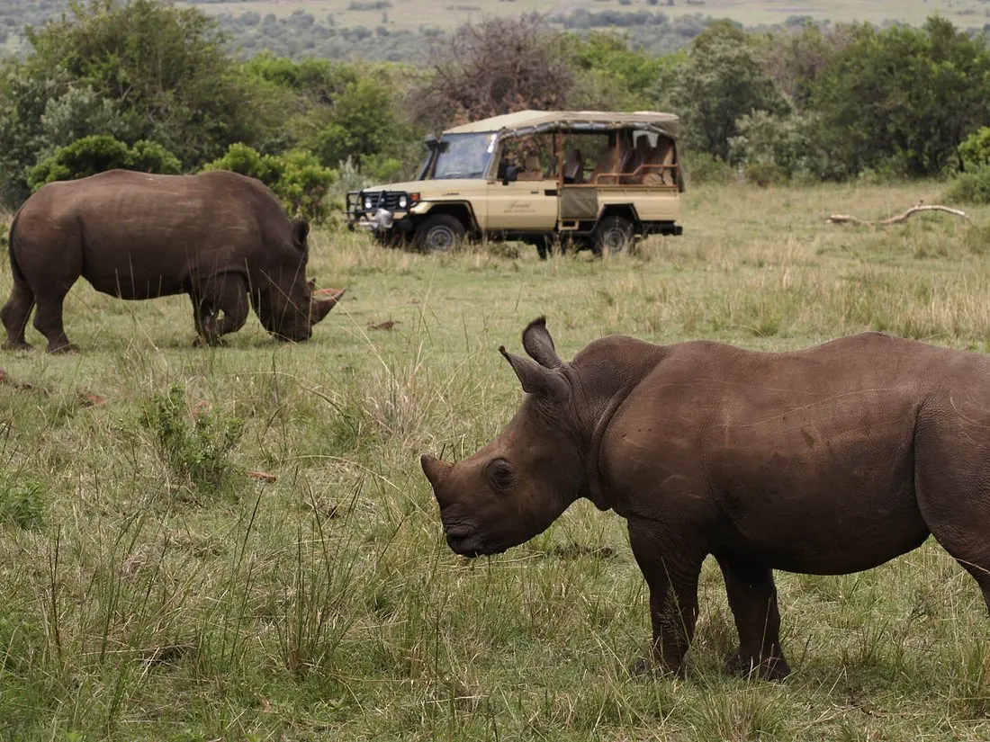 Best Kenya Safari Itinerary- Game Drive