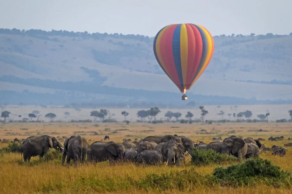 6 Days, Luxury Masai Mara Packages Cost.HOt Air balloon Safari during wildebeest migration in Masai Mara.