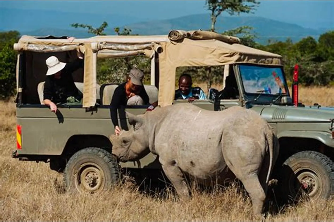 Big Five, safari animals, Kenya. Ol Pejeta is a haven for Kenya animals.