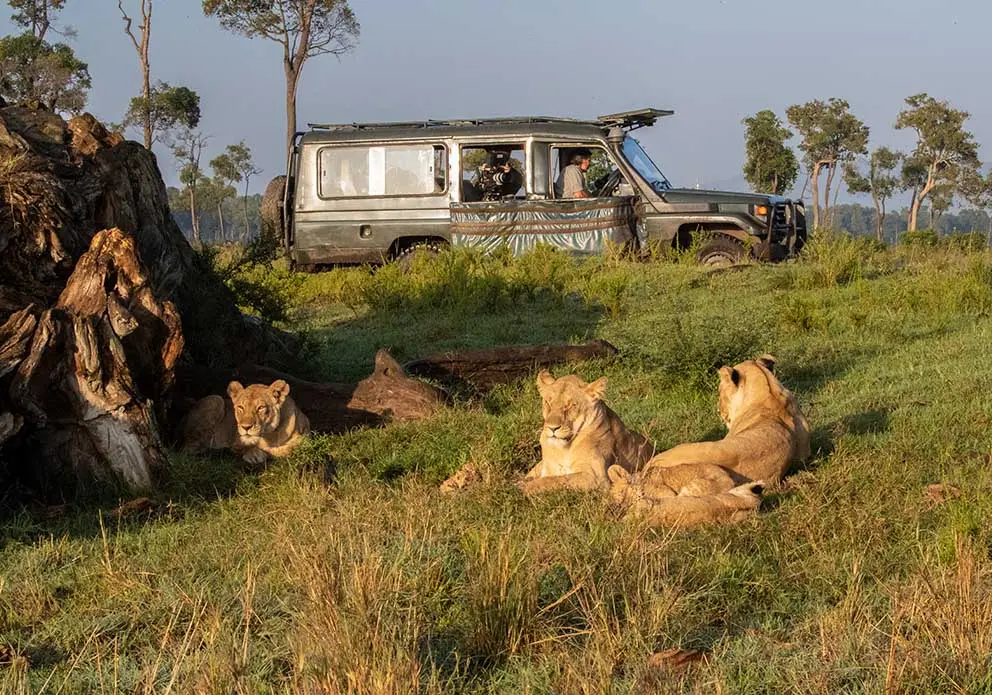 Masai Mara Safaris - Our Guests Viewing Lions in Masai Mara National Reserve.