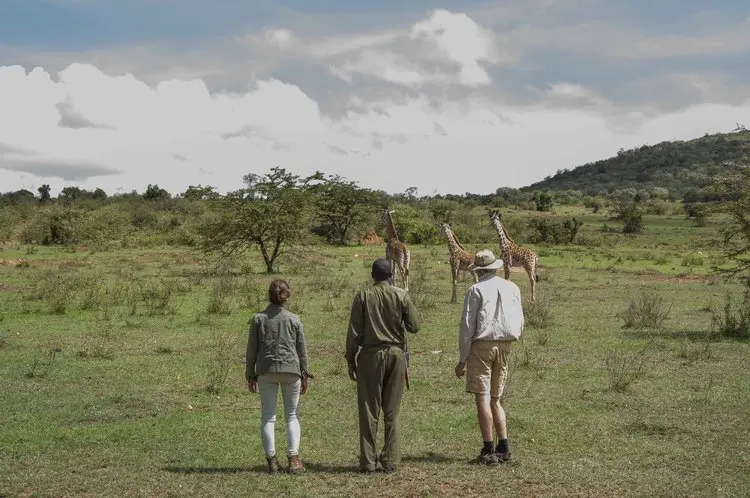 Masai Mara luxury safari package