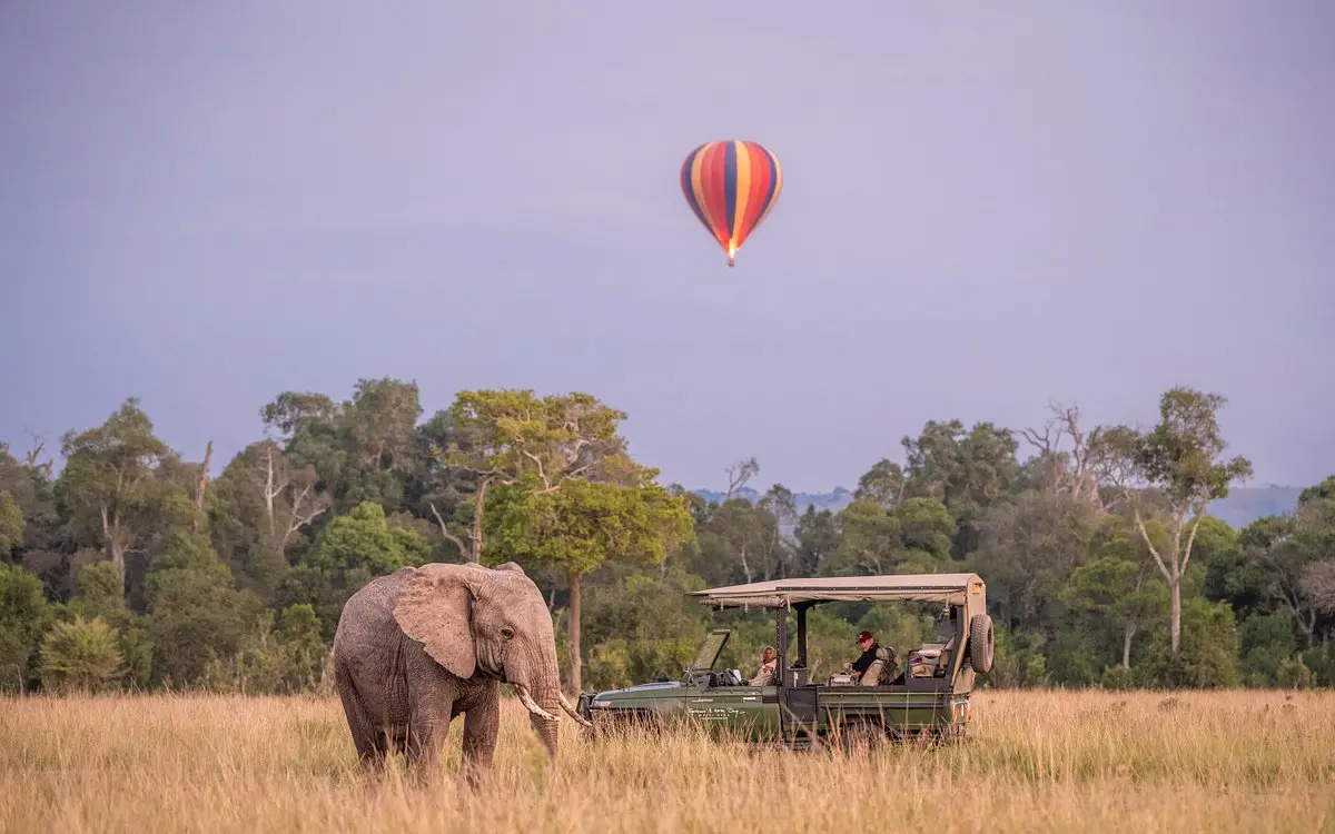 You may also opt for a fly in safari and include a hot air balloon ride across the Masai Mara on your itinerary. Kenya Safaris from India