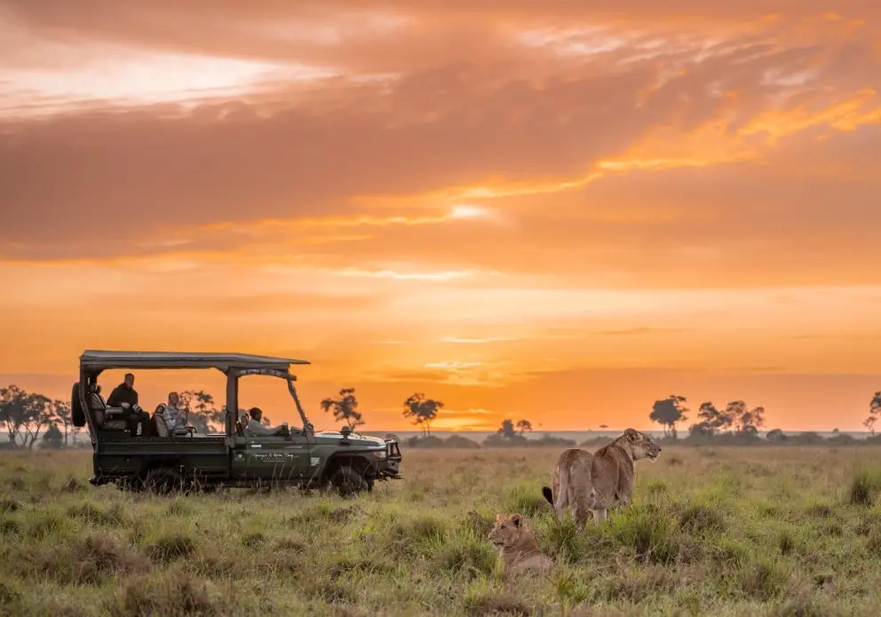 Masai Mara luxury safari