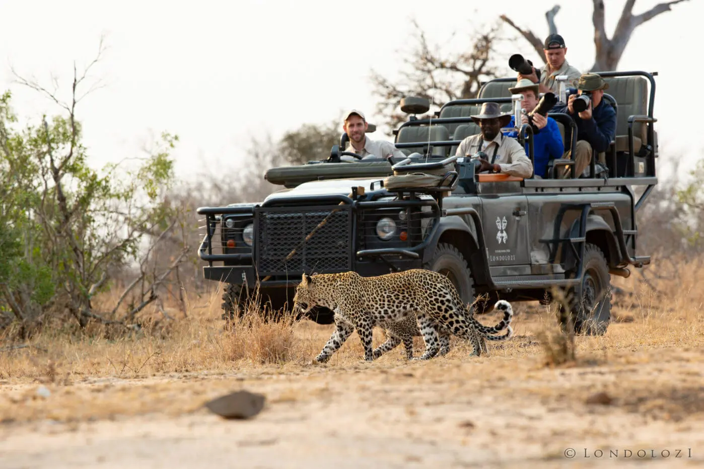 Kenya holiday packages - Our guests during a safari in Masai Mara National Reserve.