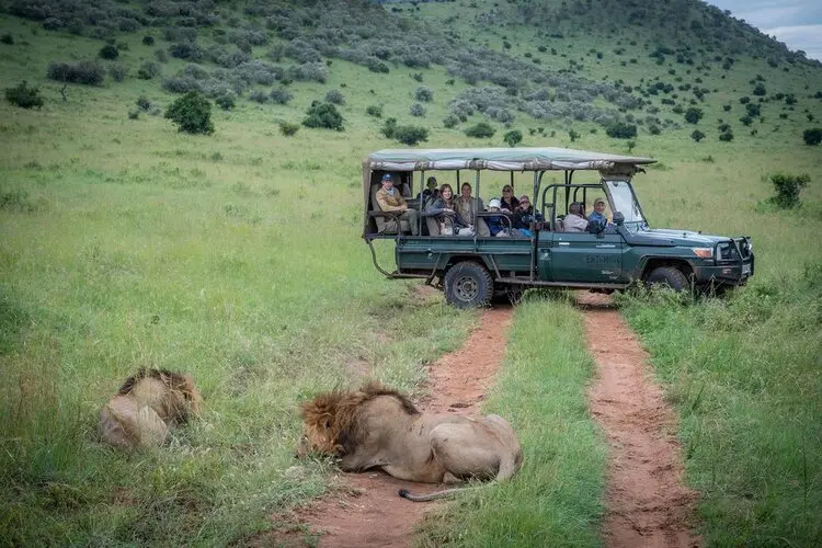 Masai Mara luxury safari booking