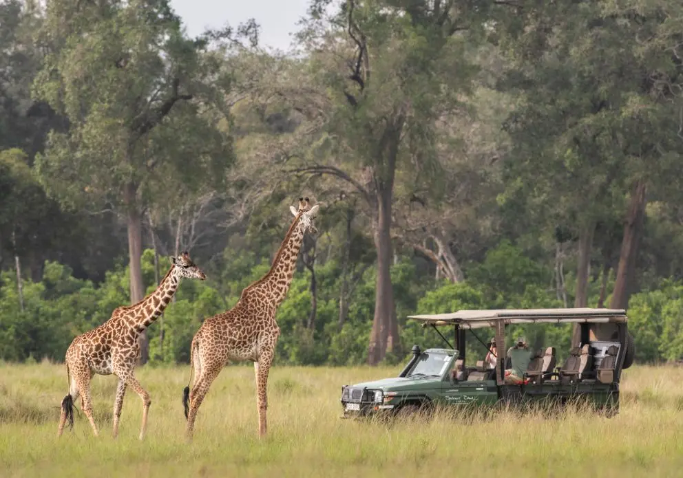 Masai Mara luxury safari