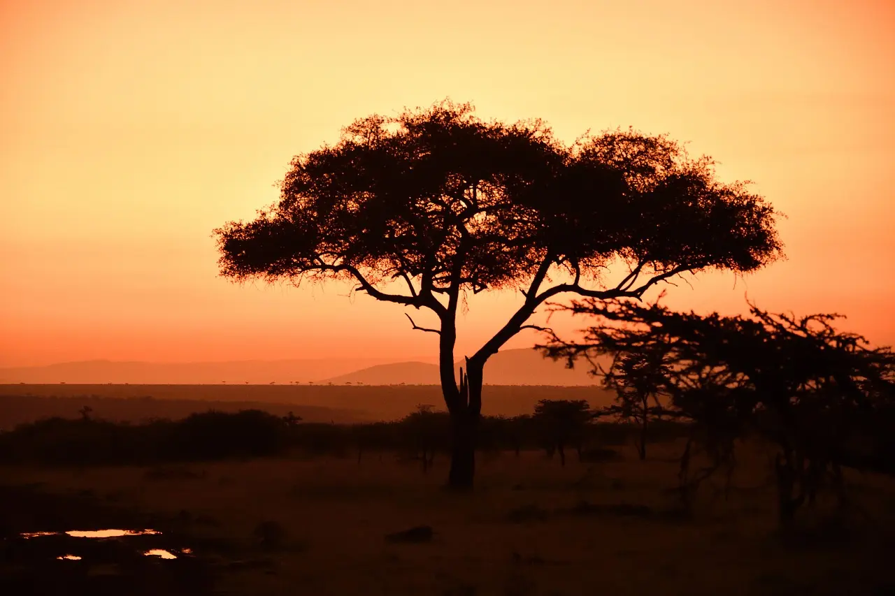 The iconic Masai Mara National Reserve