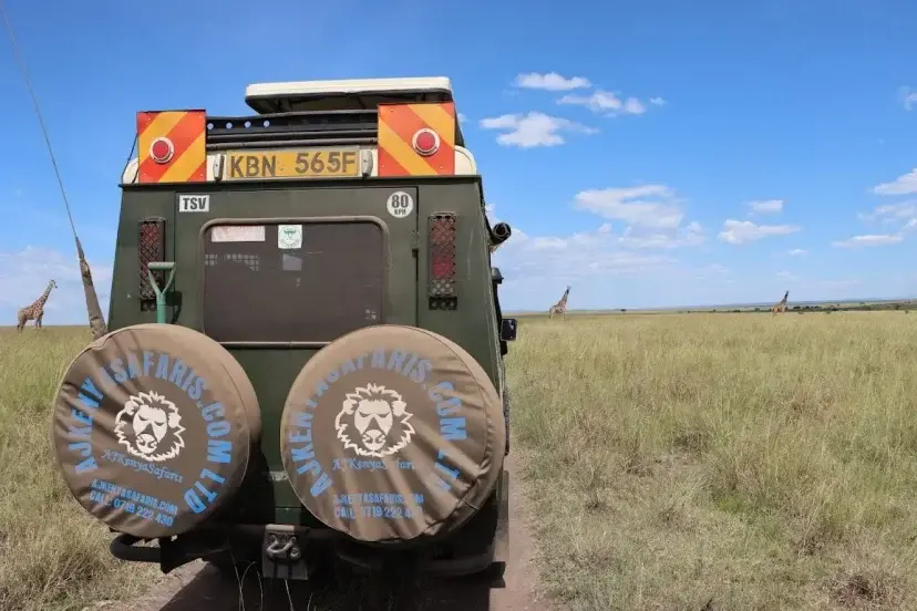 A trip during a Masai Mara Game Reserve visit