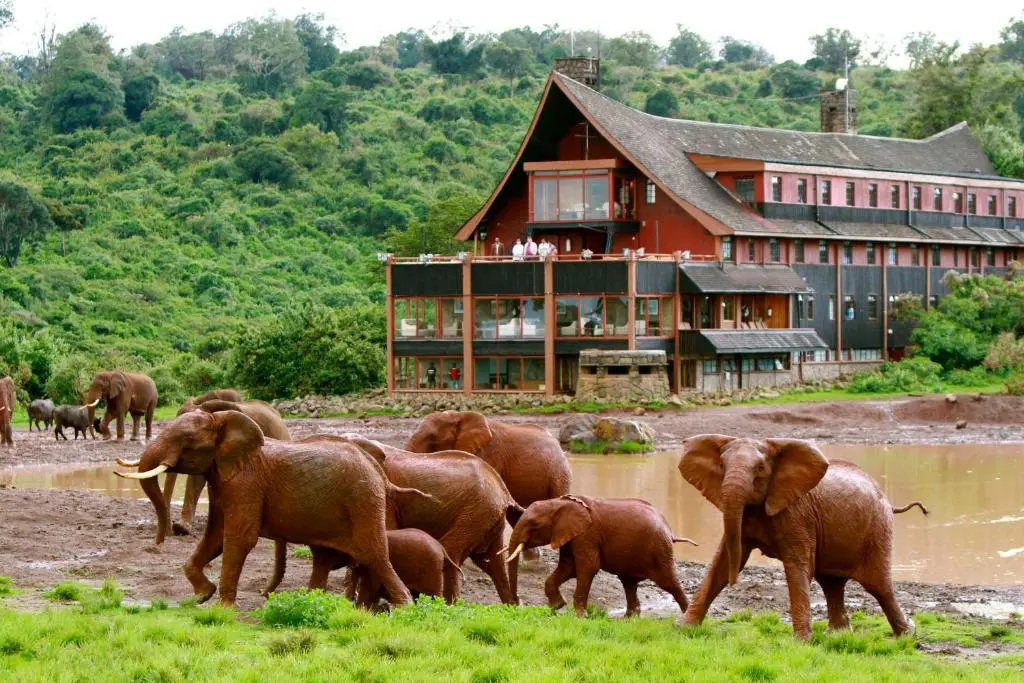 Kenya, world class safari accommodations. Kenya Package Holidays.