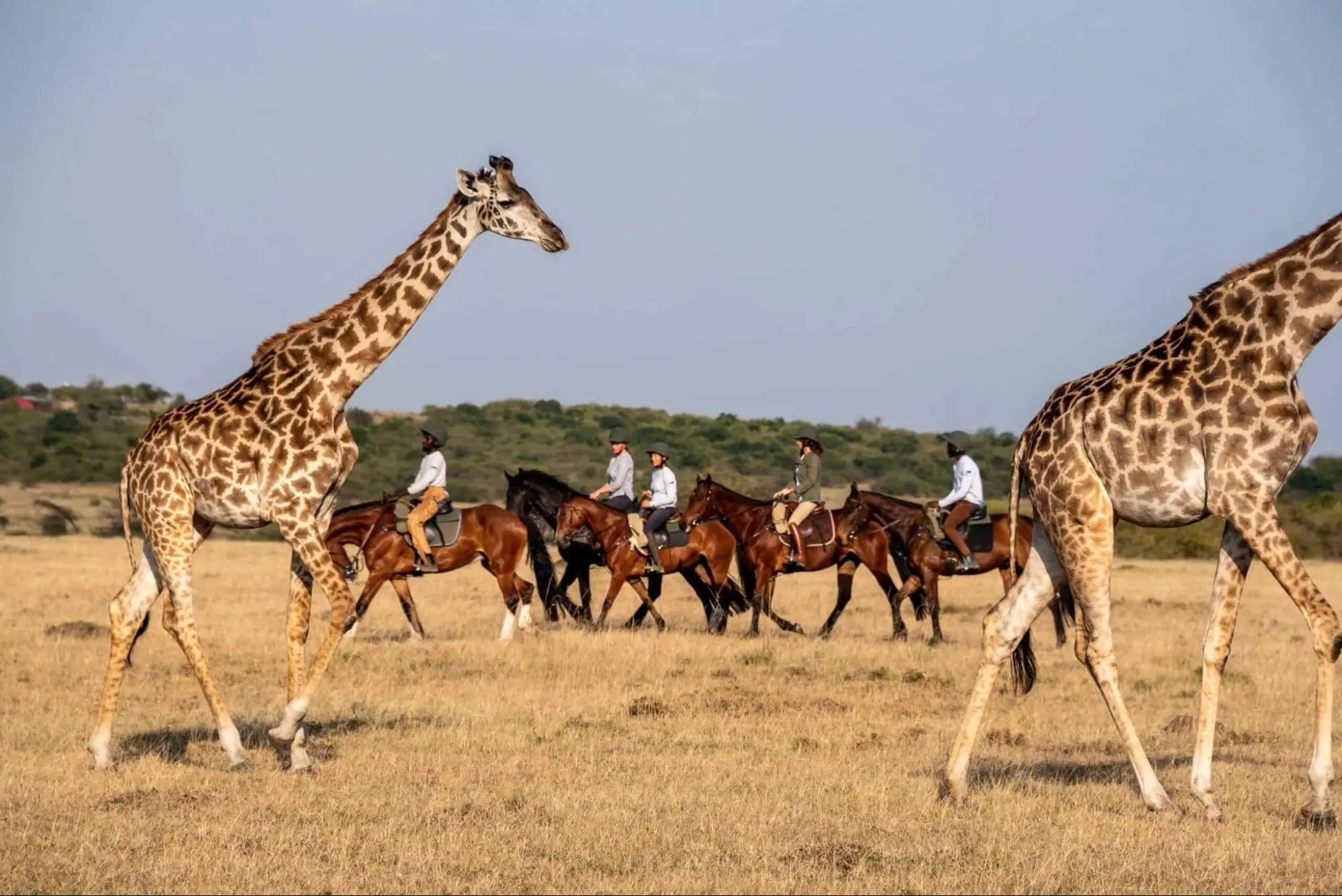 Kenya safari Masai Mara - our guest on horseback riding safaris.