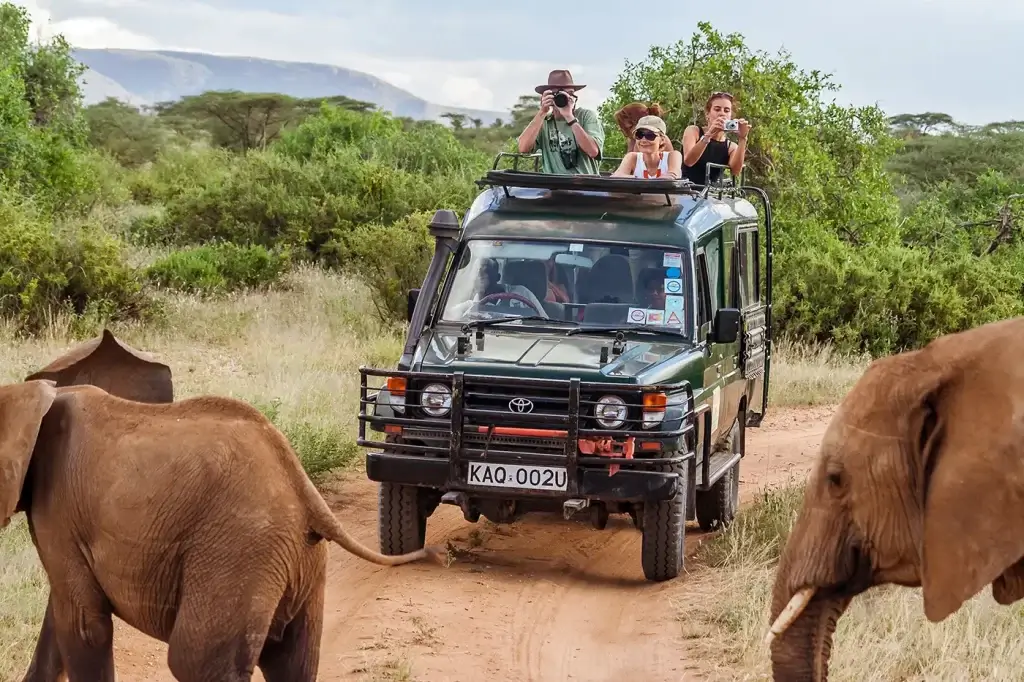 10 Days Kenya Itinerary. Our guests during game drives.