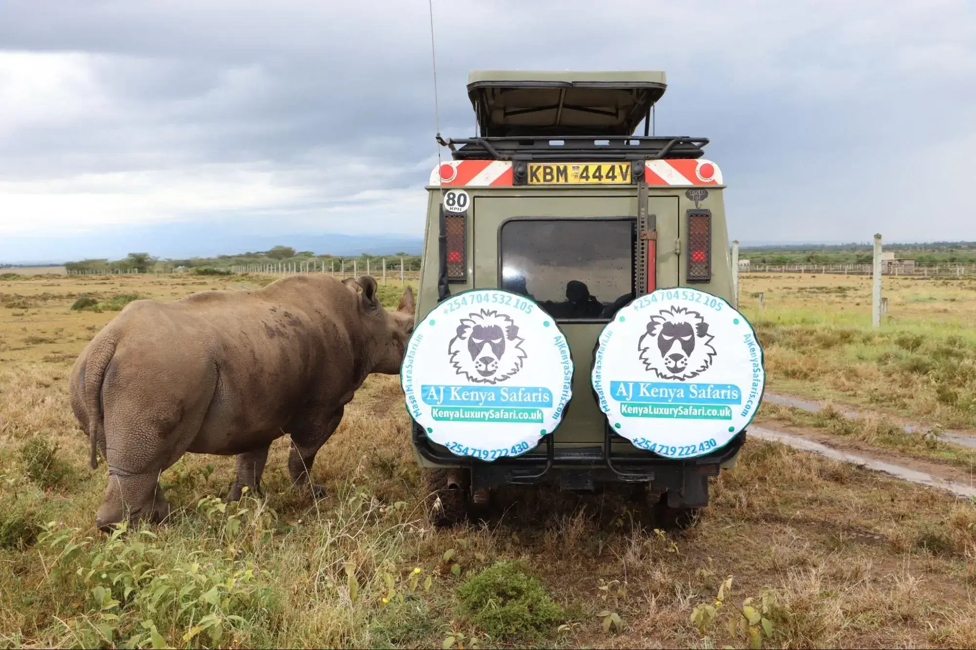 Kenya National Park safari adventures