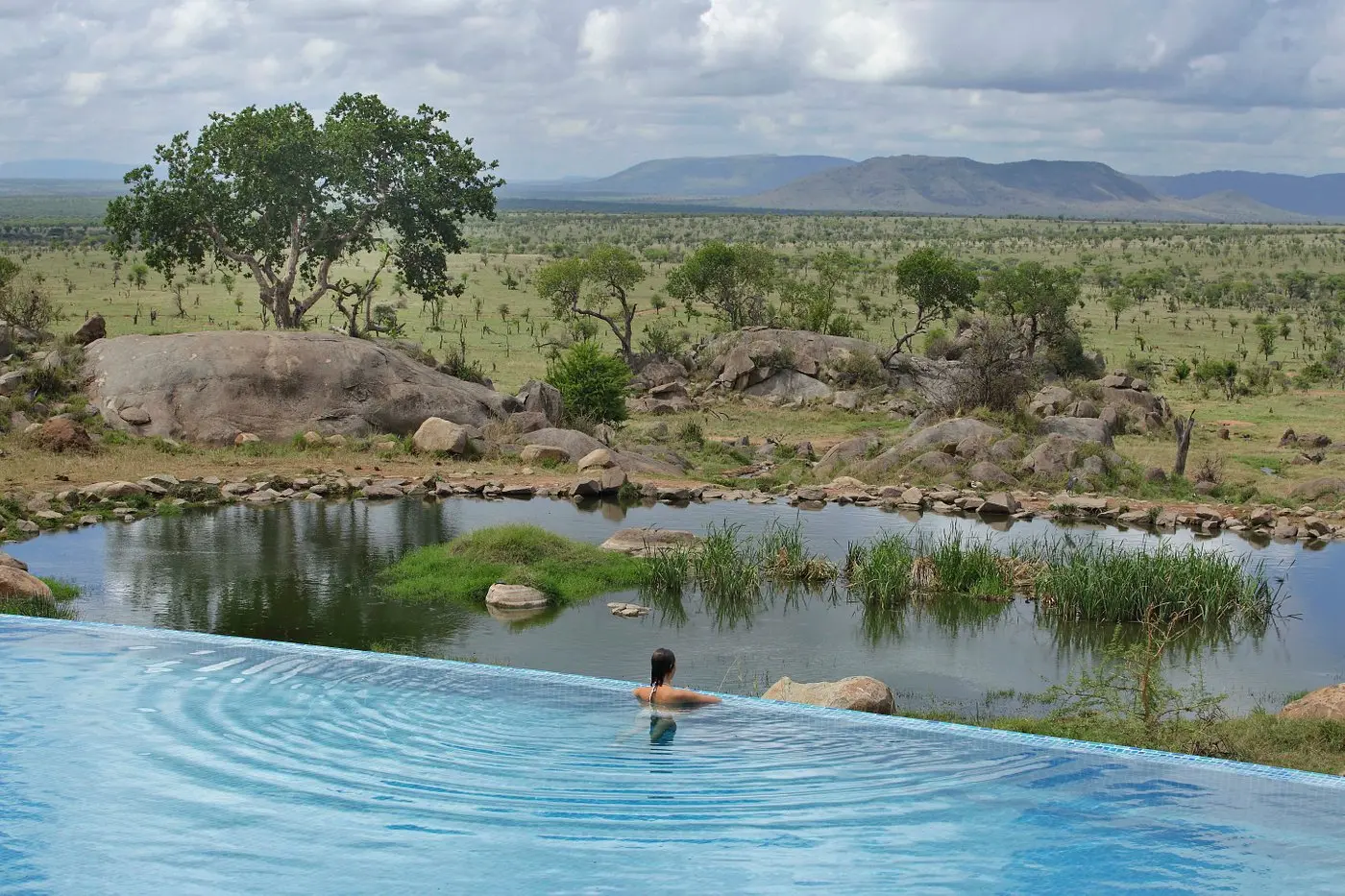 Serene pool in the Serengeti, surrounded by lush greenery and tranquility.