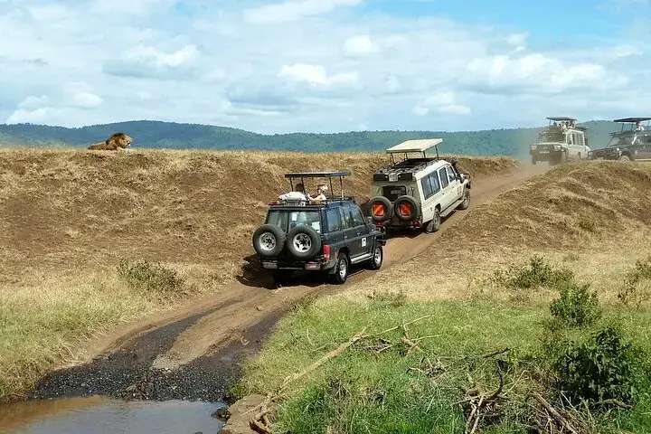 When to visit Kenya National Parks