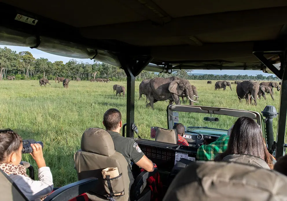 Governors Camp Masai Mara tour packages