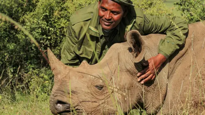 Rhino conservation in Nairobi National Park
