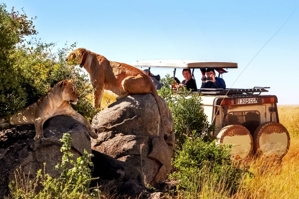 Just the Vacation You Need - 4 Days at Base Camp Masai Mara - masai mara kenya