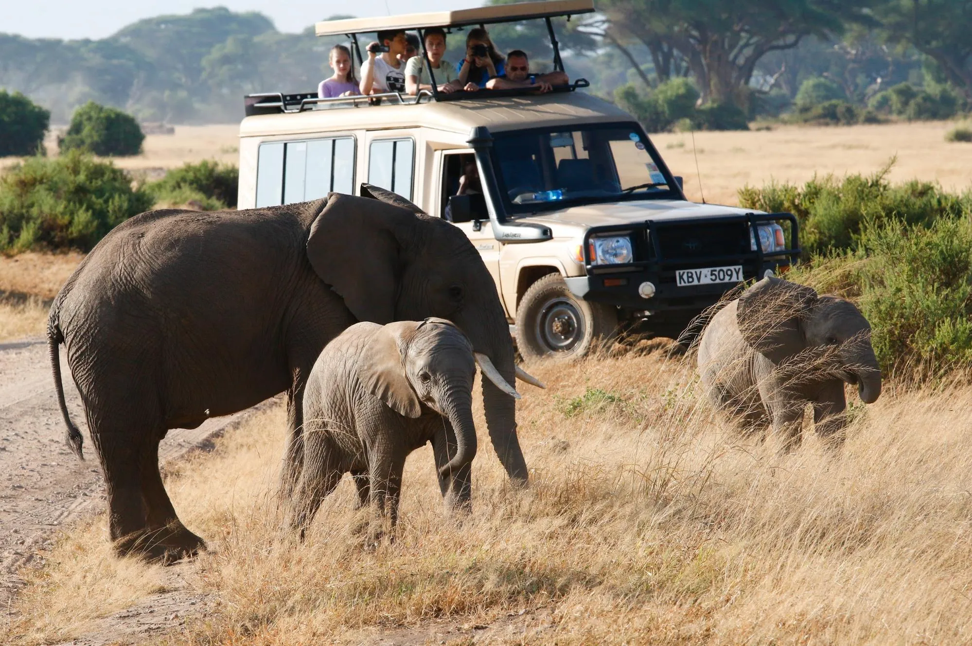 africa safari package