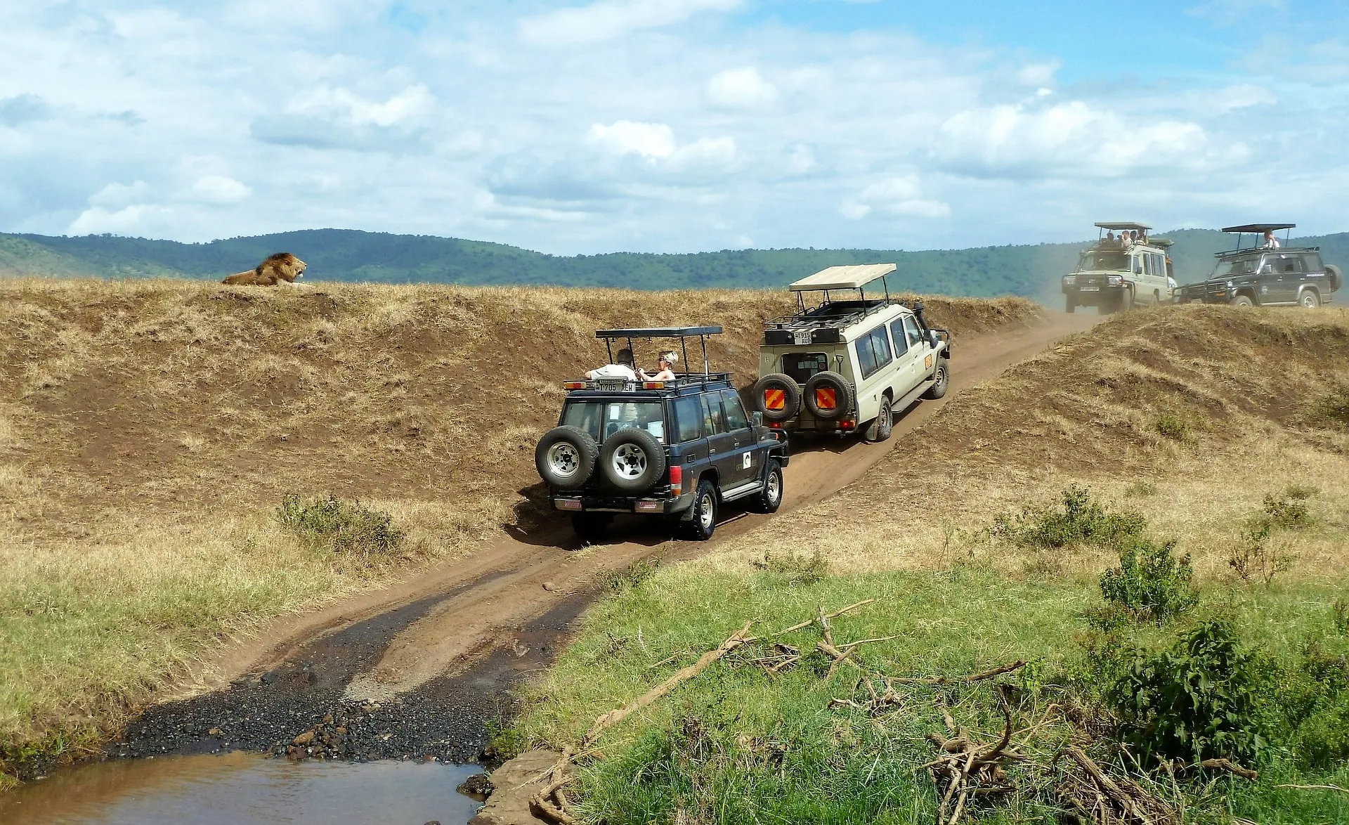 A Typical Safari in Tanzania, East Africa