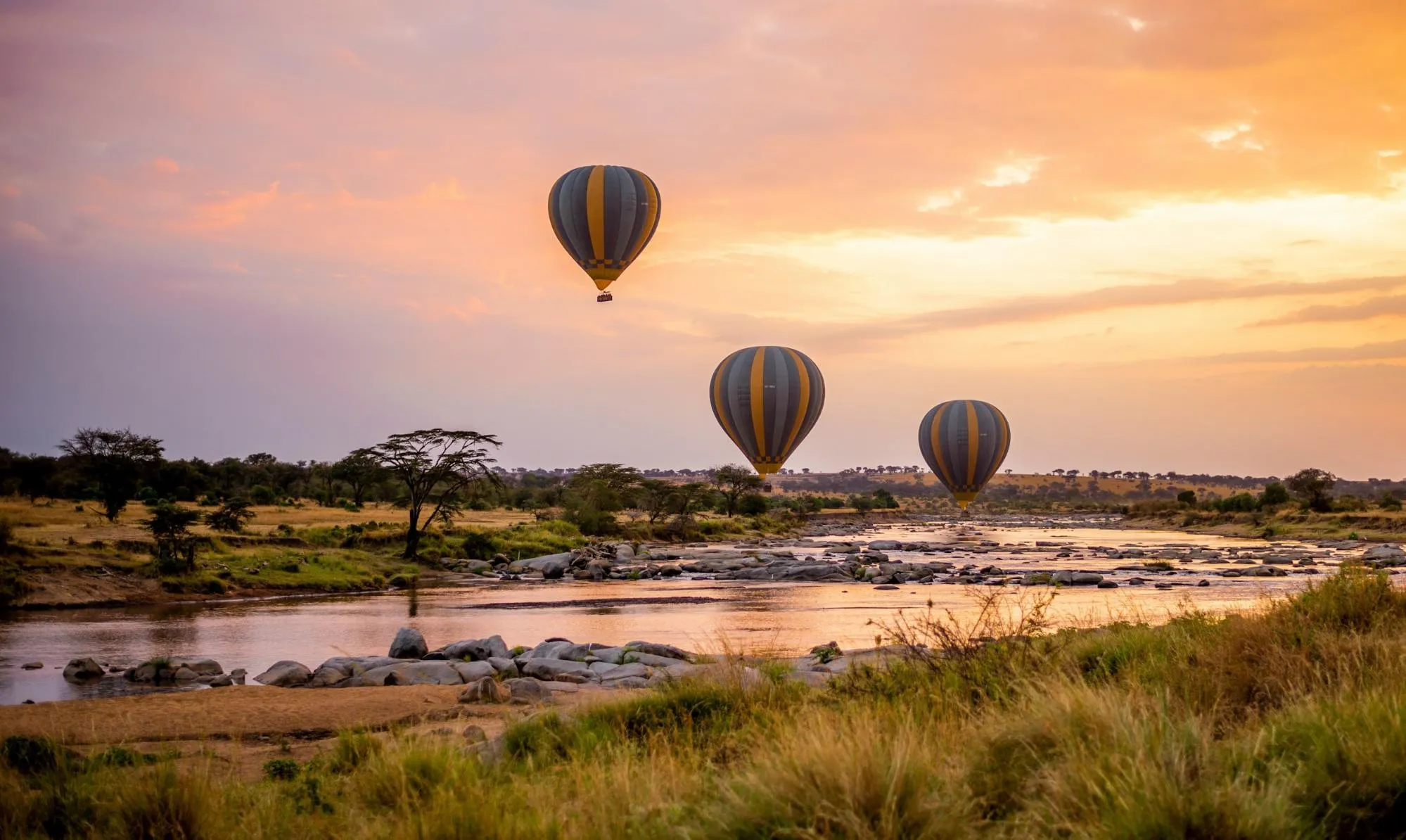 witnessing the great migration on board hot air balloons in early mornings