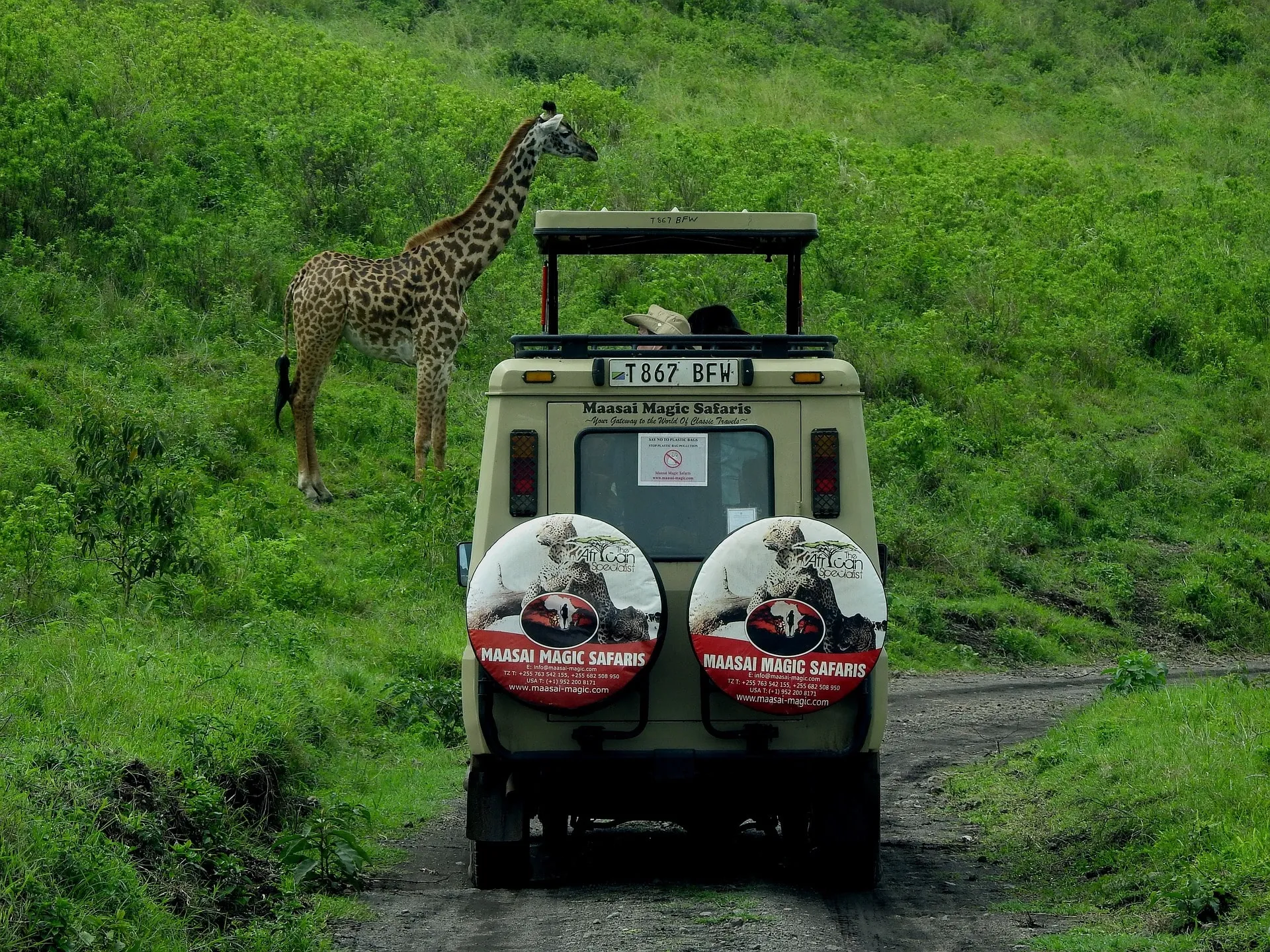 early morning drives in the serengeti for wildlife viewing