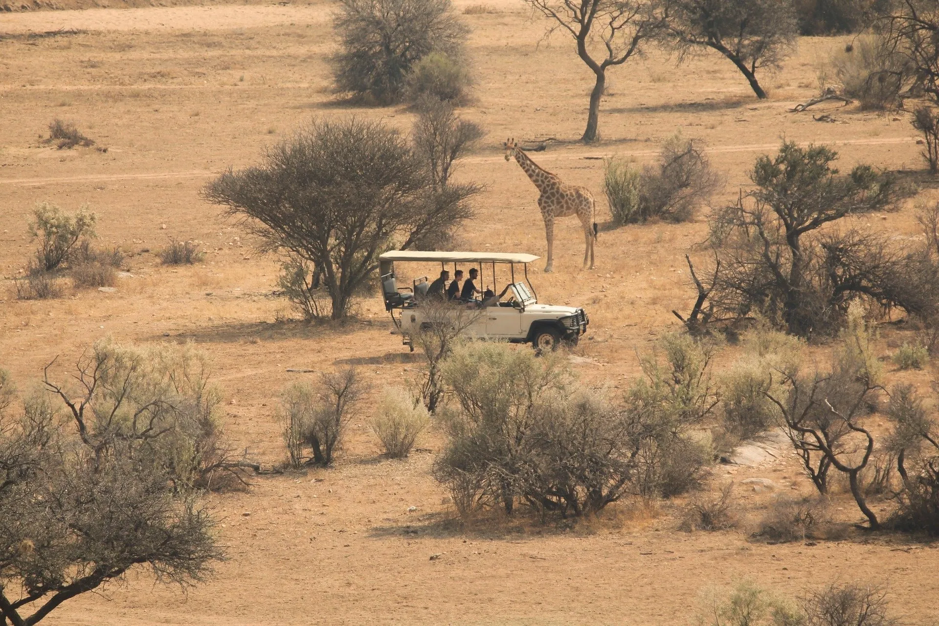 Understanding Tanzania safari costs including various price ranges.