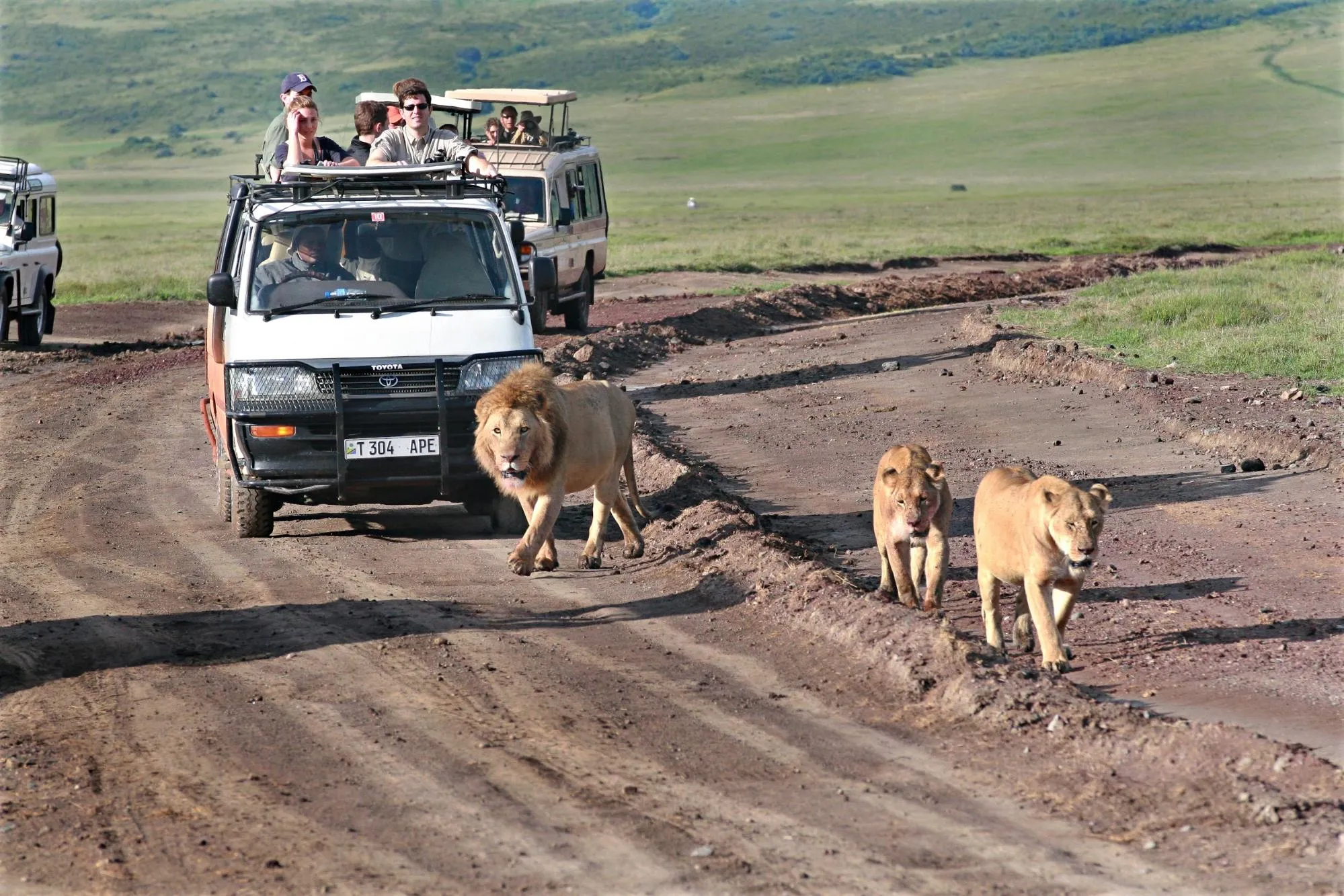 masai mara tours