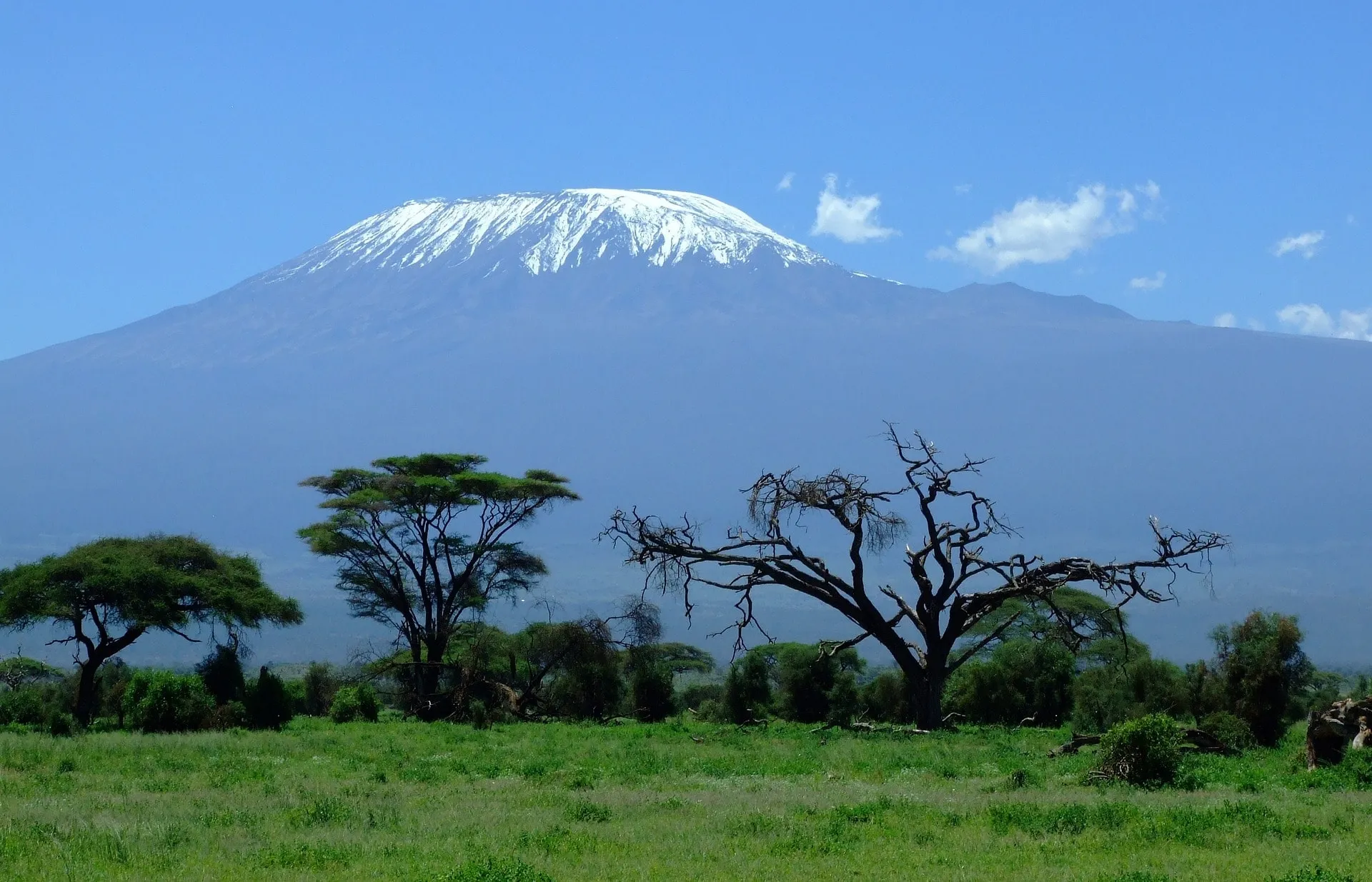 The Views of Mount Kilimanjaro on A Northern Safari Circuit in Tanzania