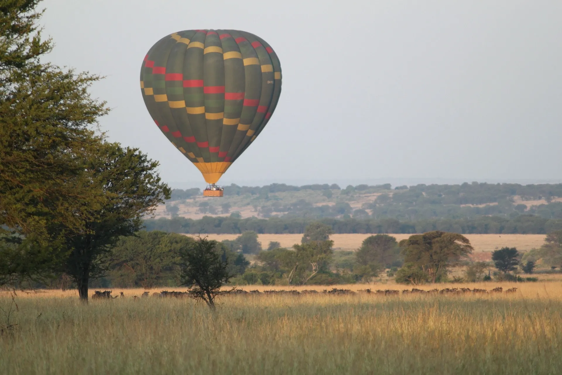 Perfect African safari tours Tanzania including Hot Air Balloon Rides