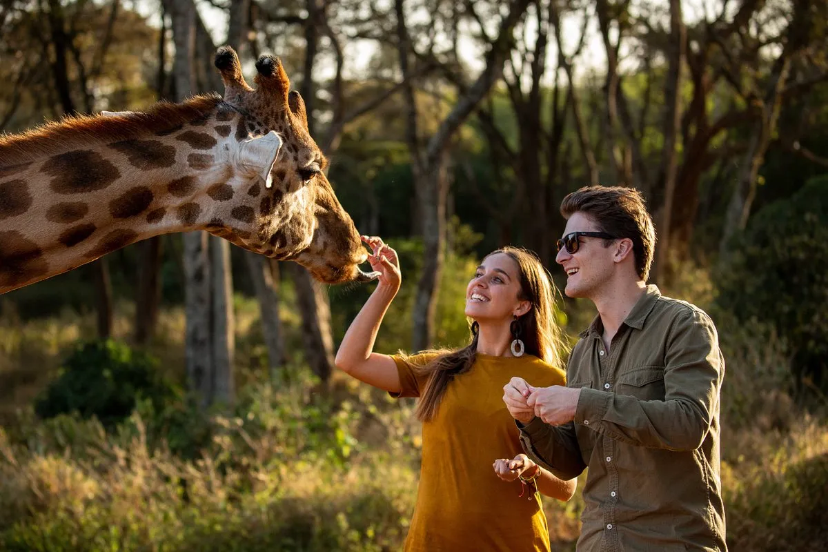 kenya safari packages