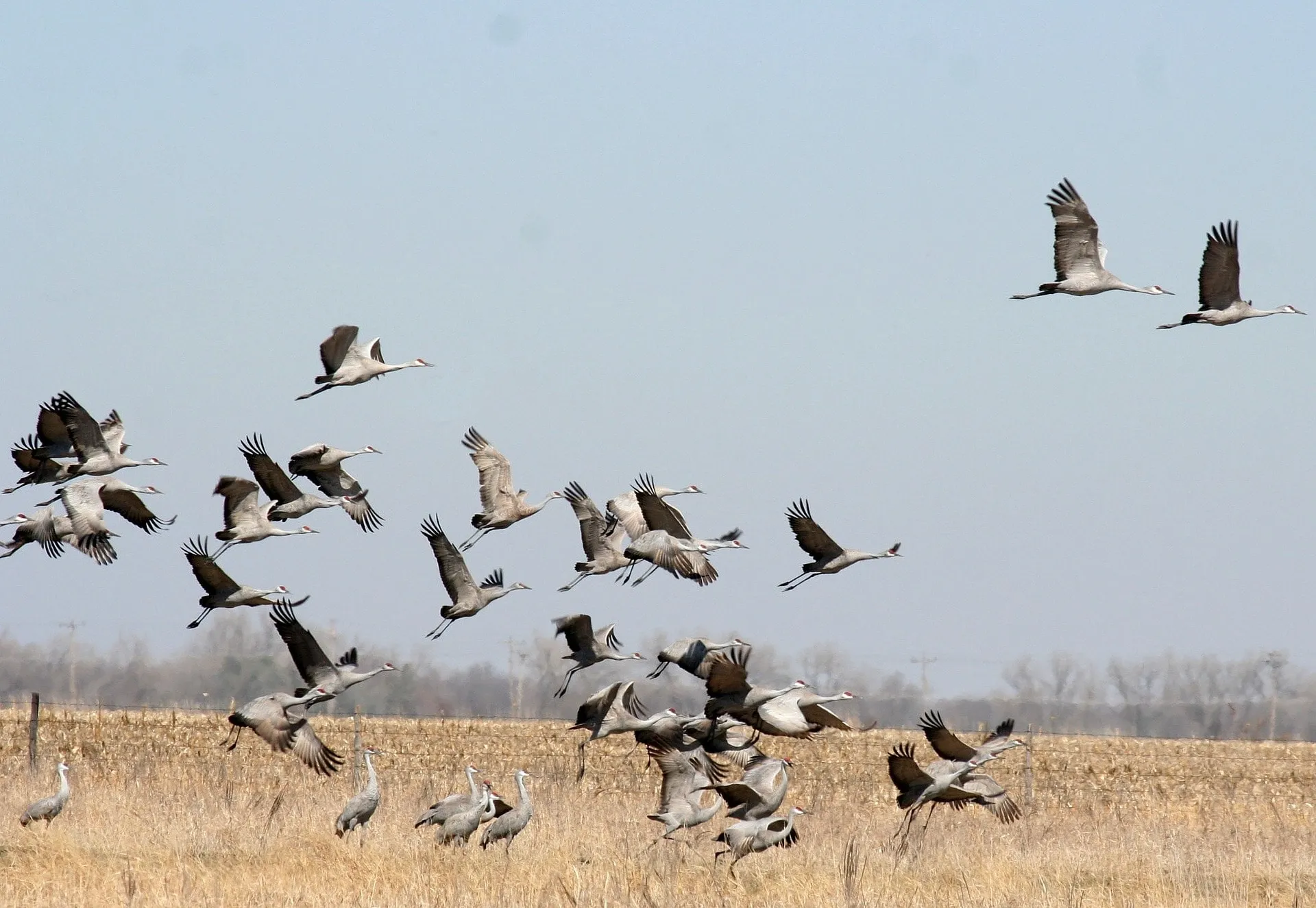 bird viewing in tanzania's savanna and famous national parks