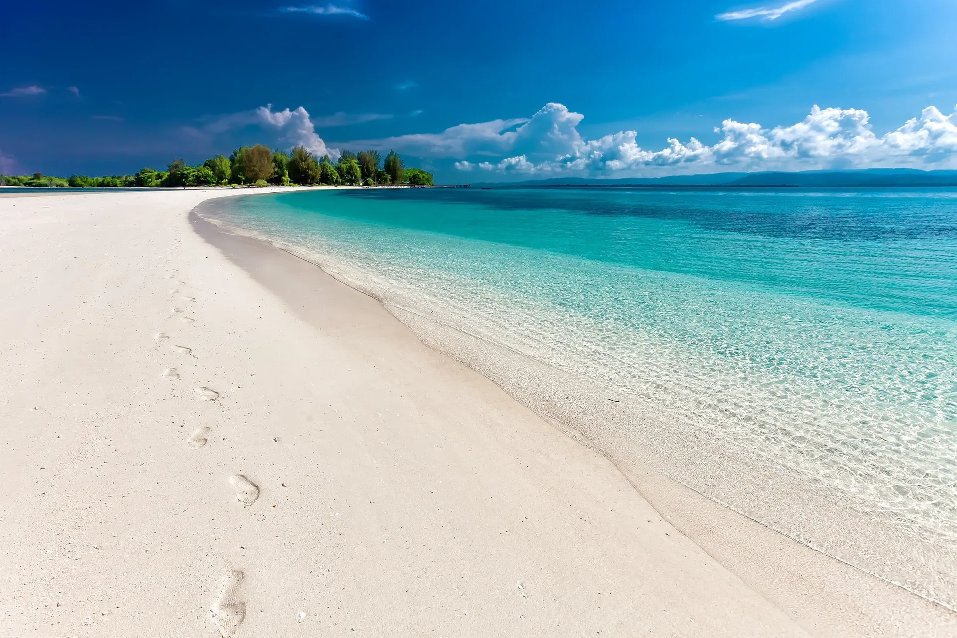 A relaxing beach safari scene, combining wildlife and ocean views in Kenya