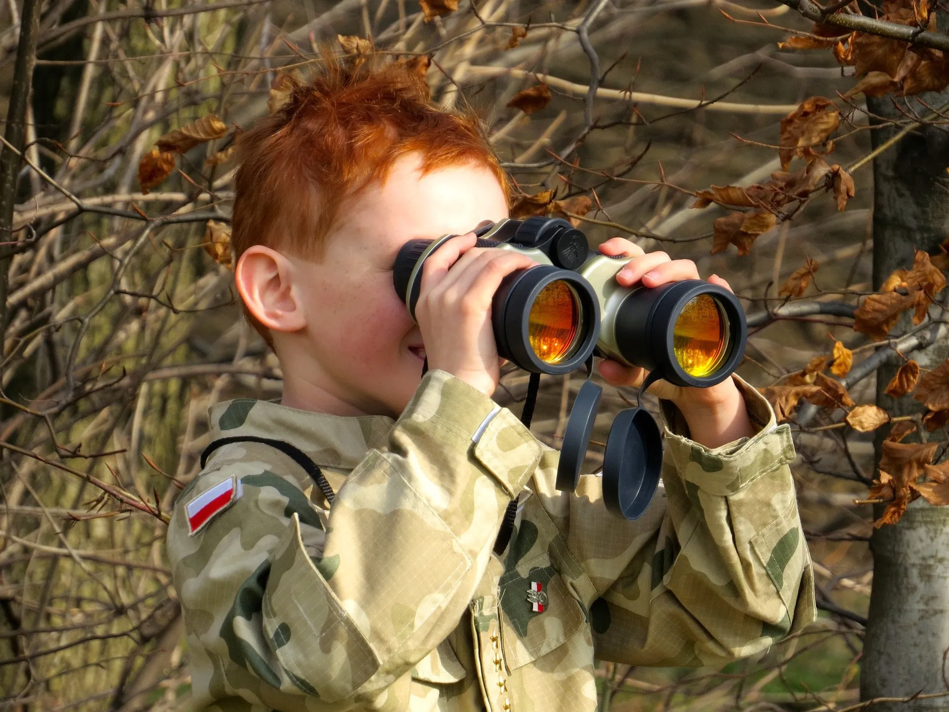 Making Use of Cameras and Binoculars for an Enjoyable and Successful Safari in Kenya