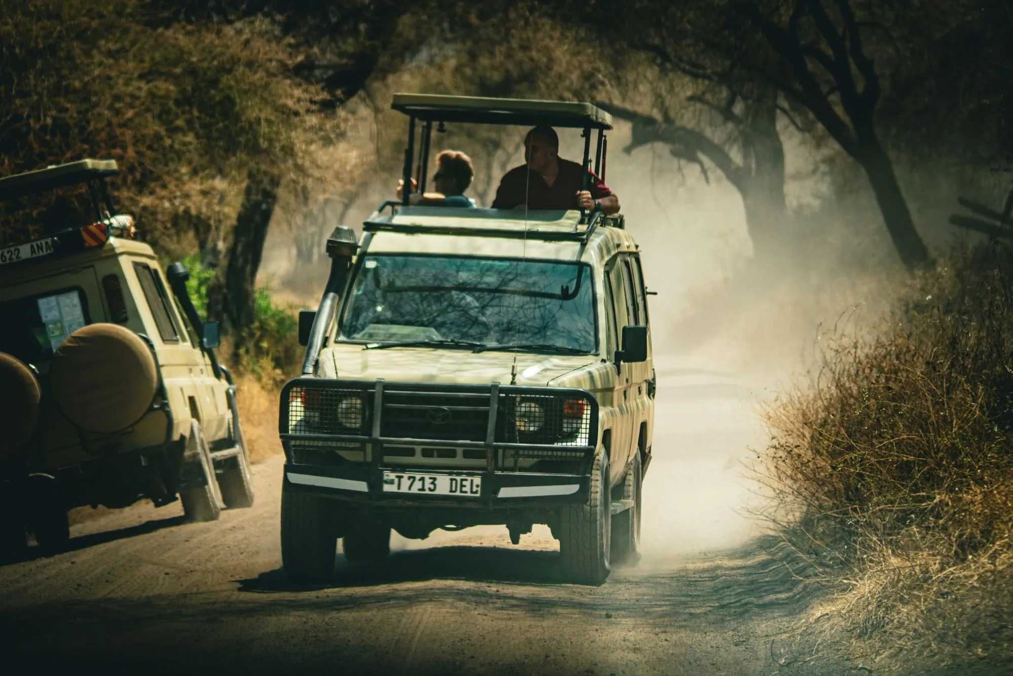 Exploring Tanzania Dense Forests During the Peak Season.