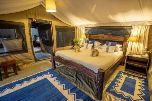 offbeat mara camp